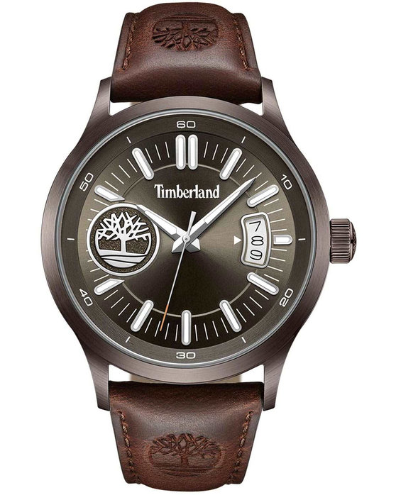 TIMBERLAND Trumbull Brown Leather Strap