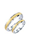 Wedding rings from 18ct Gold and Whitegold with Diamond