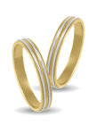 Wedding Rings in 9ct Yellow Gold and White Gold